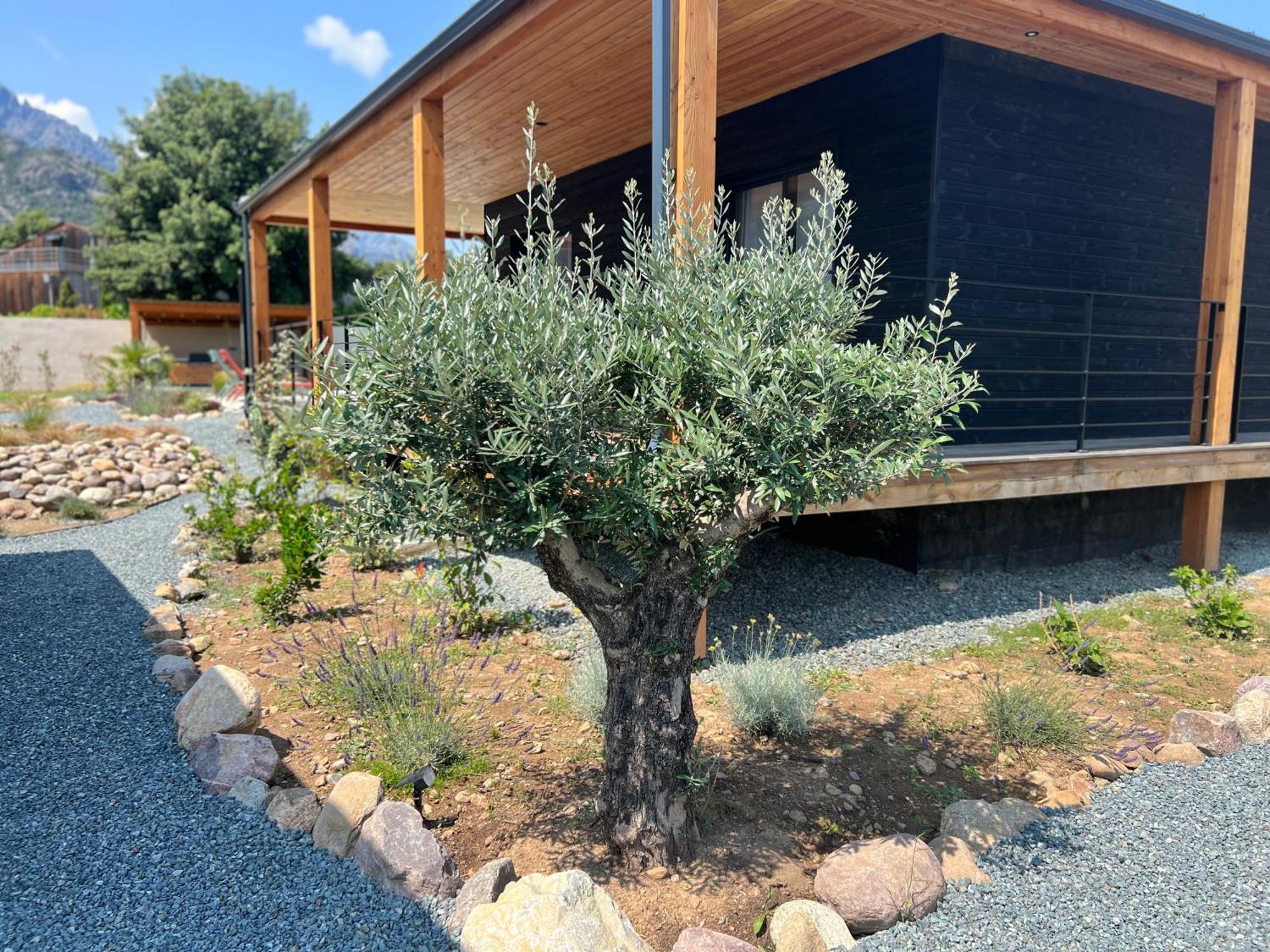 Villas Vallee D'Asco Moltifao Zewnętrze zdjęcie